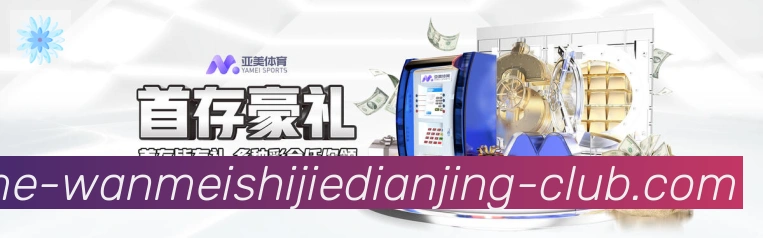 未来规划